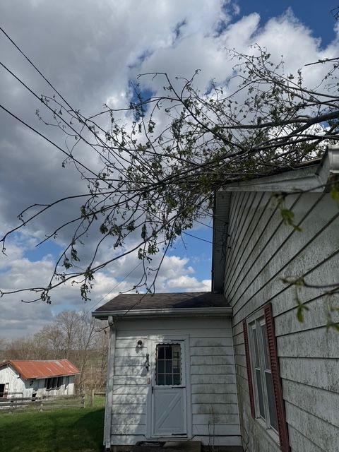 Tree branches with dried leaves resting heavily on the roof of a house with white siding and a small entrance door.