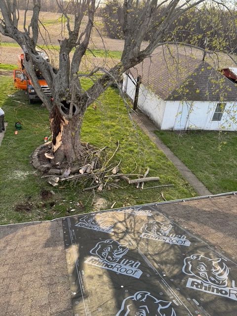 A view from a roof showing a damaged tree being removed by a service truck near a small, white building.