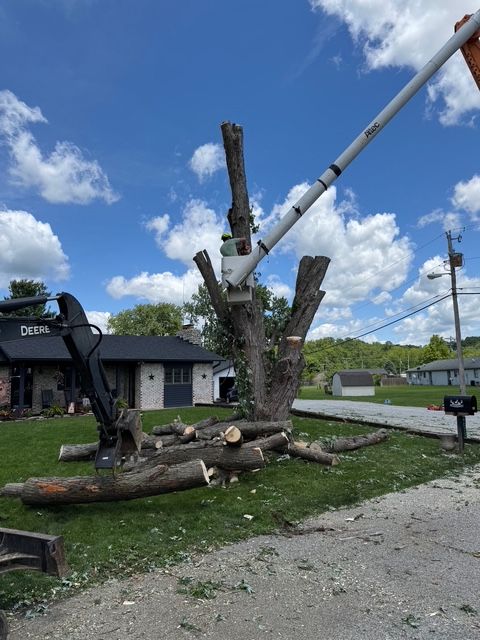 A tree removal operation with a crane arm cutting a trunk, with cut logs piled on the grass in front of a house.