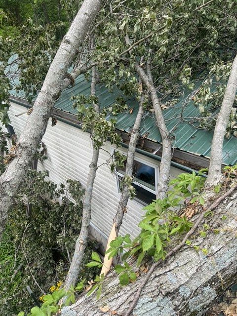 A fallen tree lies across the roof of a house with light-colored siding and a green metal roof.