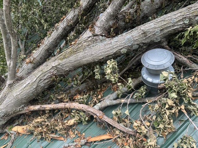 A large tree limb has fallen onto a green metal roof next to a gray plumbing vent cap.