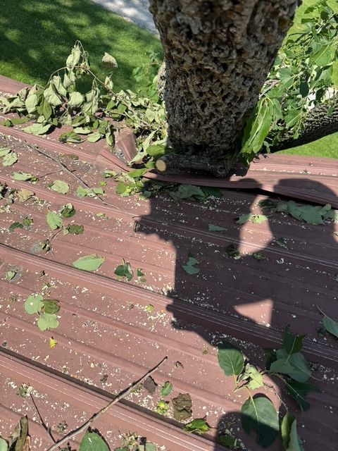 A tree trunk rests against a damaged brown metal roof, with leaves and debris scattered across the surface.