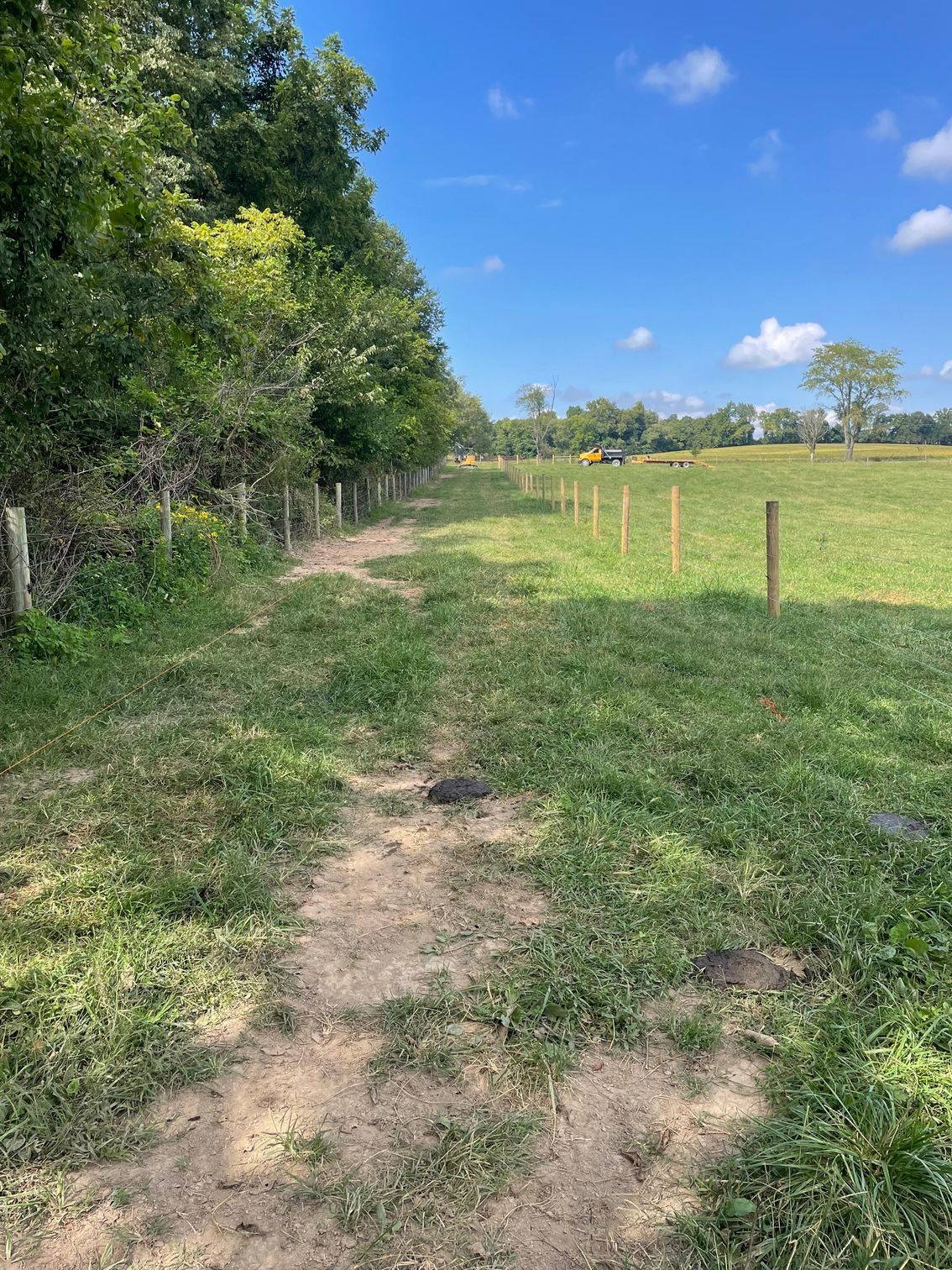 A dirt path runs alongside a wooden fence between a lush green forest edge and a grassy field under a sunny blue sky.