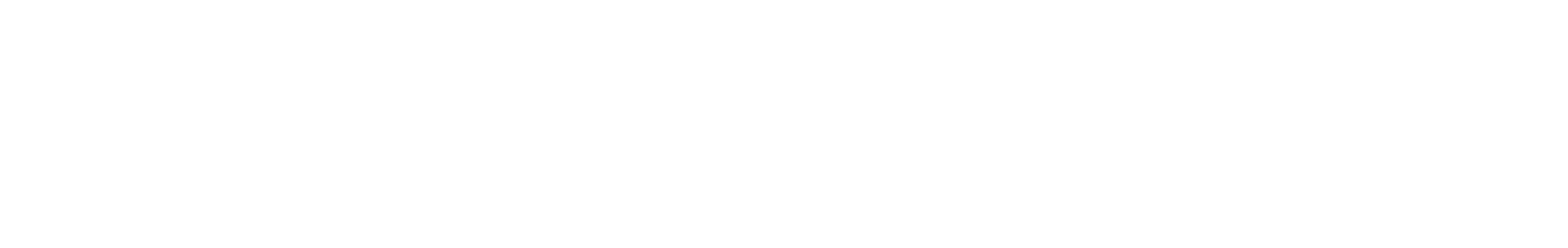 Home-Spect logo