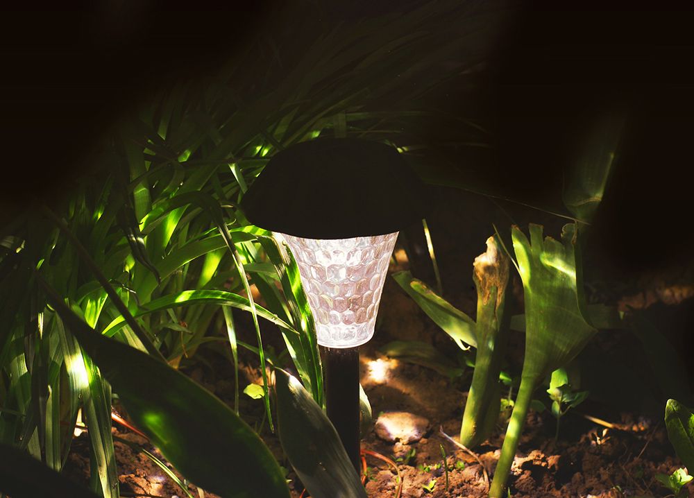 Solar garden light illuminating plants at night.