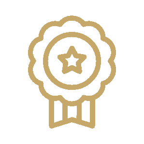 Gold award with star in the center.