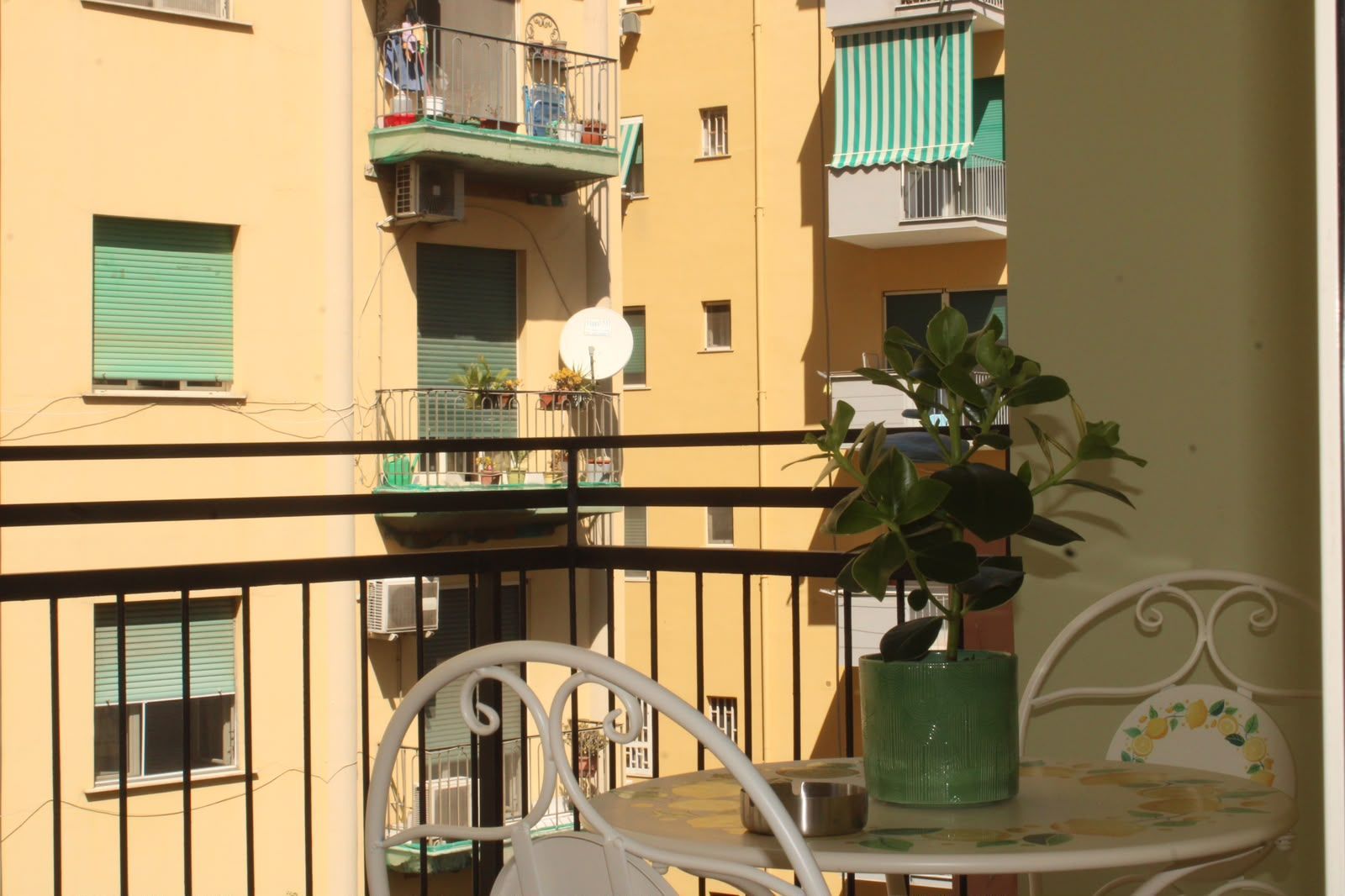 Balcone soleggiato di un appartamento con sedie bianche e piante in vaso, affacciato sugli edifici vicini