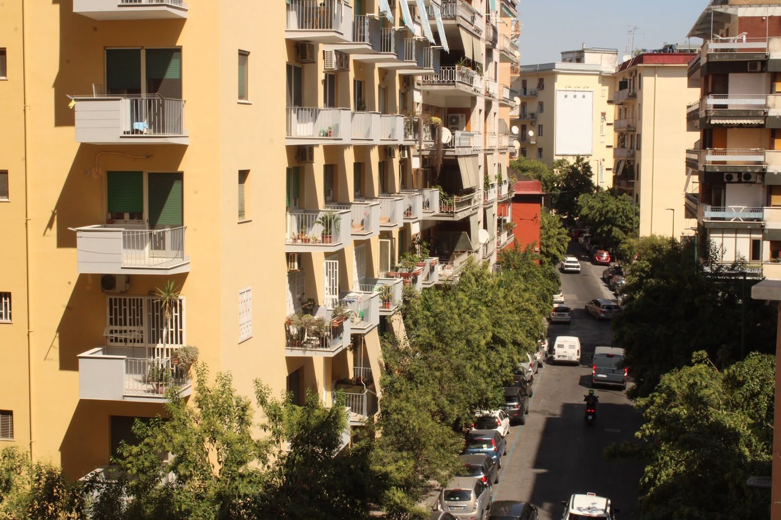 Via residenziale soleggiata, costeggiata da palazzi gialli e auto parcheggiate sotto alberi frondosi