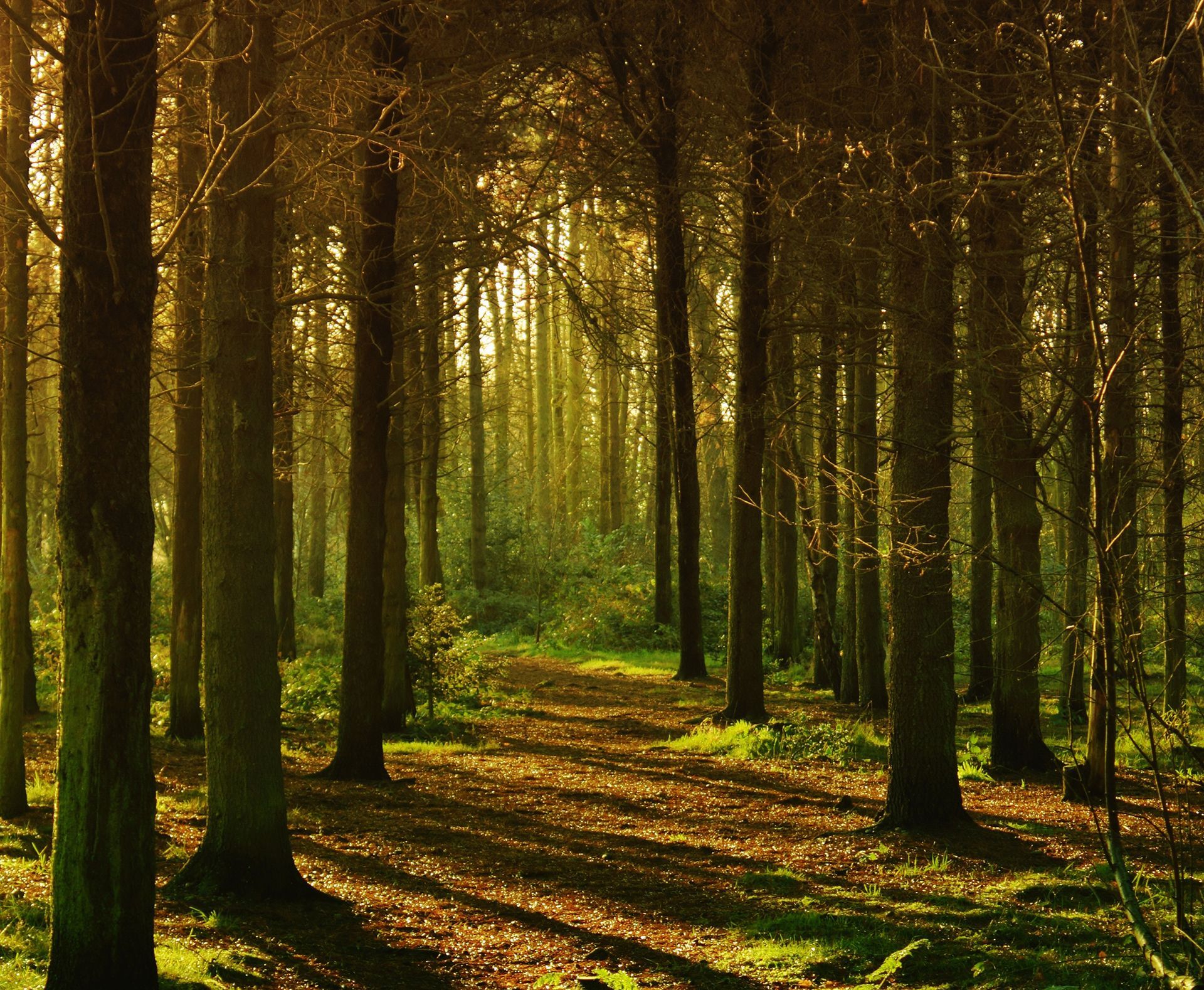 We are proud to sponsor the Autumn Trail Series for the second year running