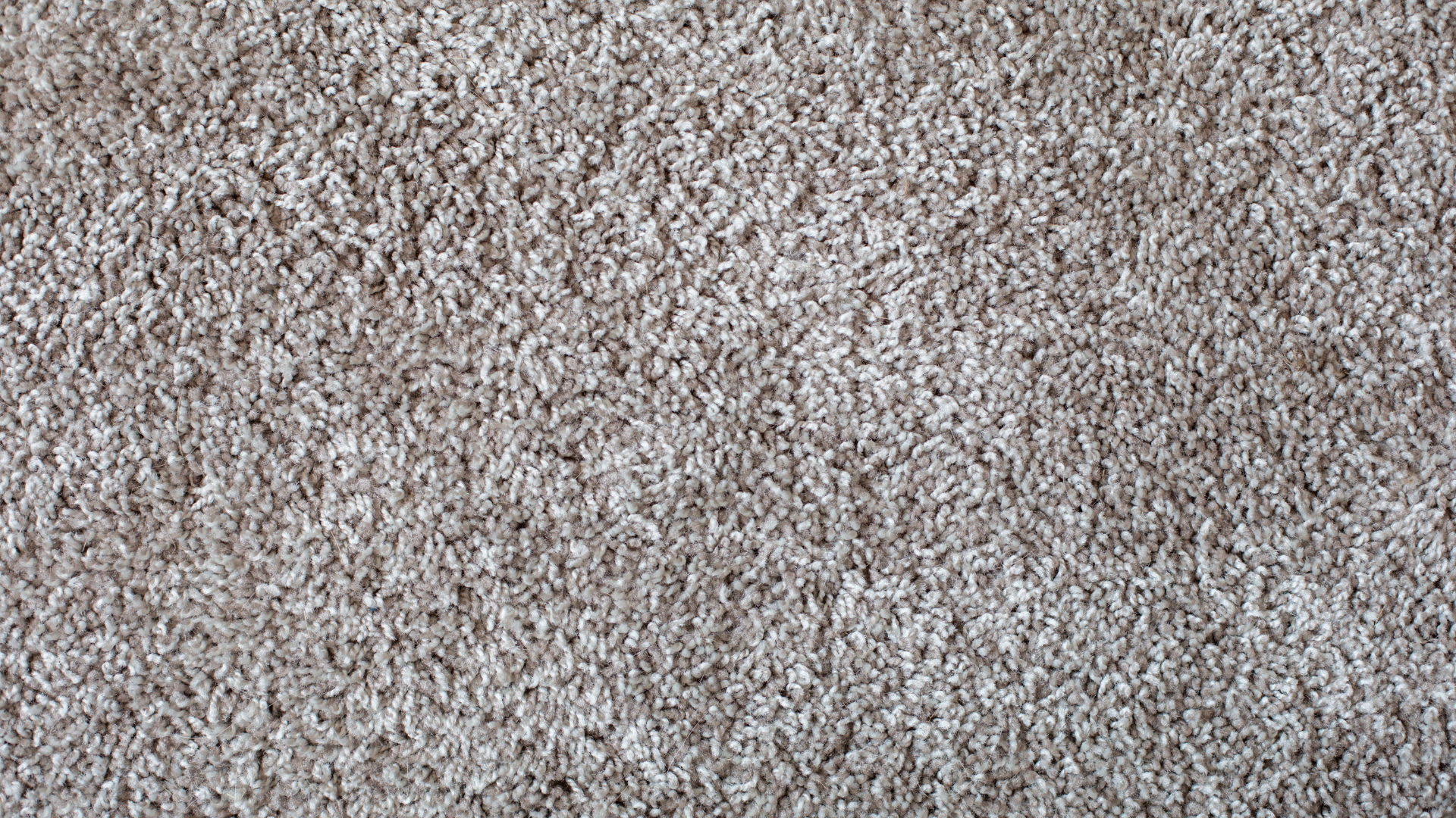 Close-up of a textured, beige-colored carpet.
