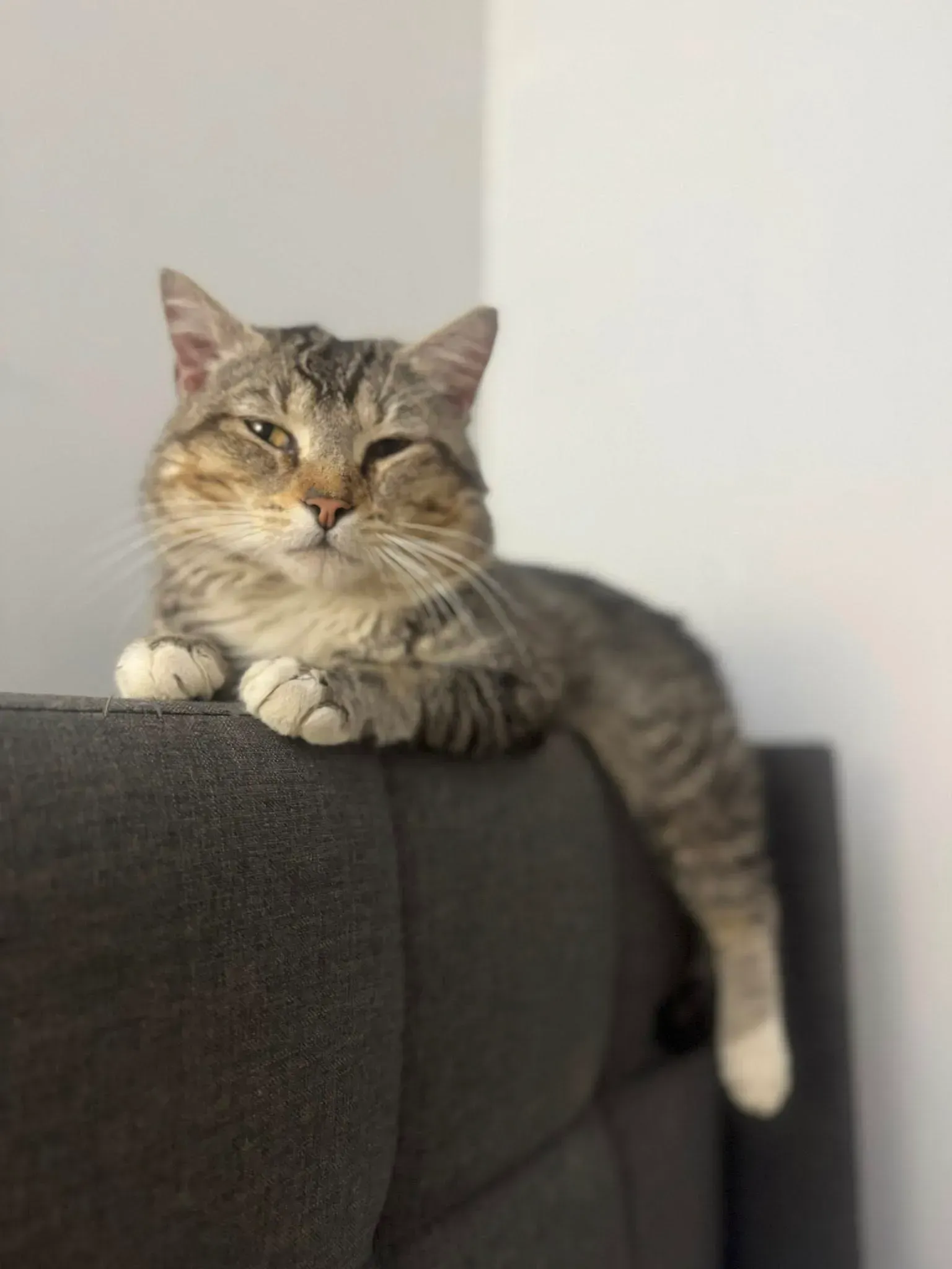 Hercules