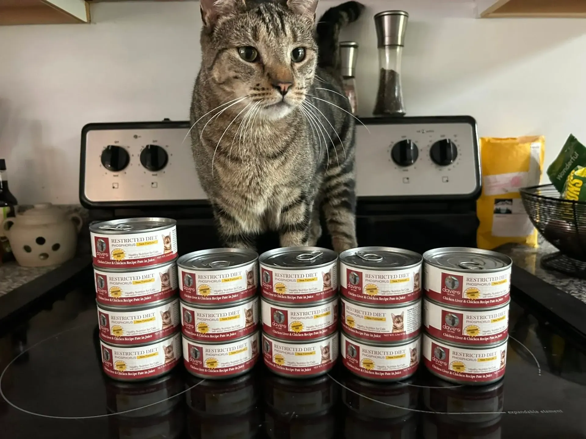 Tabby cat on kitchen stove behind rows of stacked canned cat food