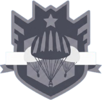 Gray shield emblem with a star, parachute, and banner across the center