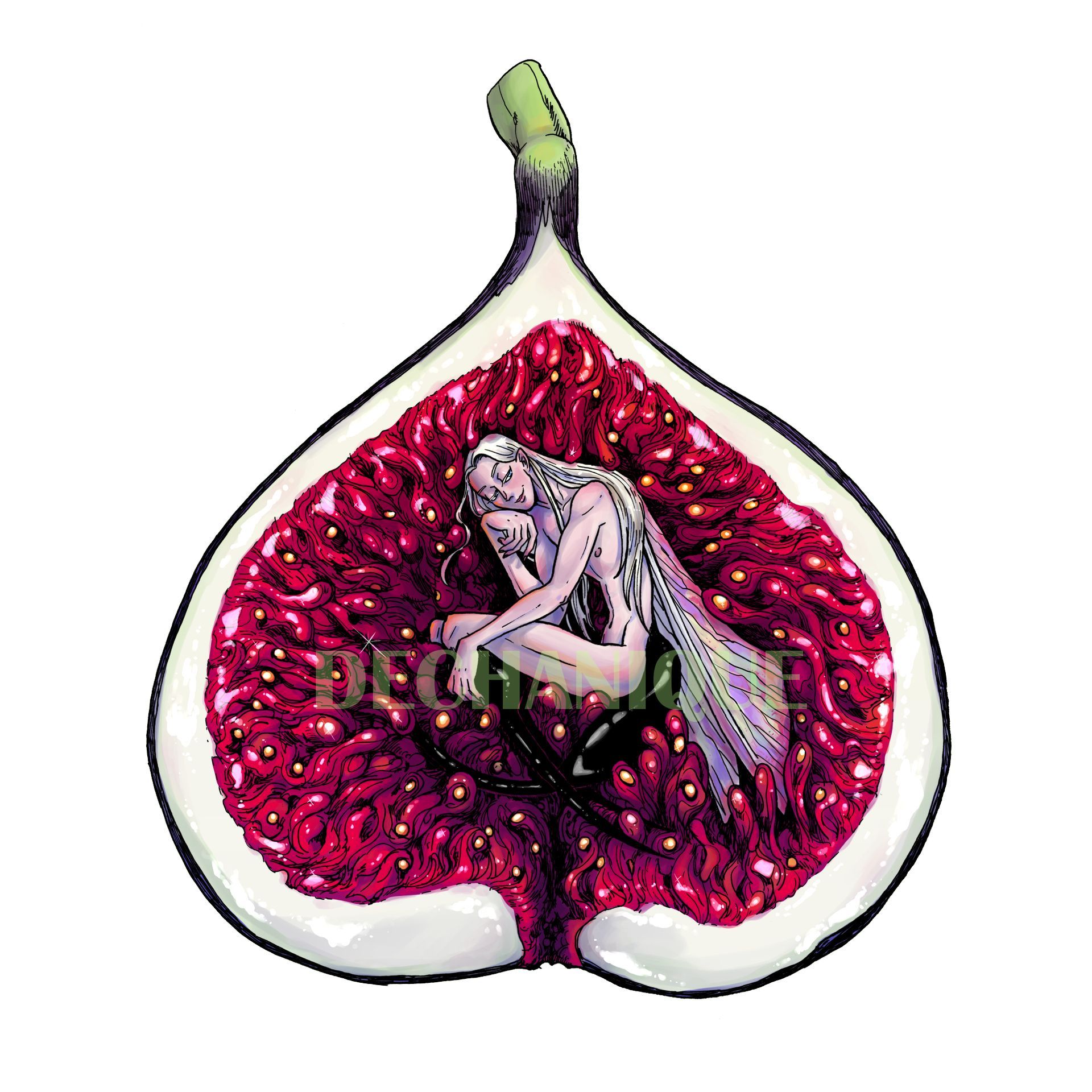 Figurative artwork of a seated woman inside a split fig, surrounded by vivid red seeds.