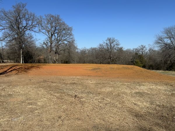 Bare dirt clearing with red soil, surrounded by leafless trees under a clear blue sky