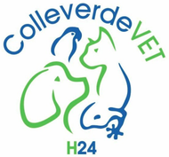 Logo per Colleverde Vet con disegni di un cane, un gatto e un uccello in verde e blu. Testo "H24".