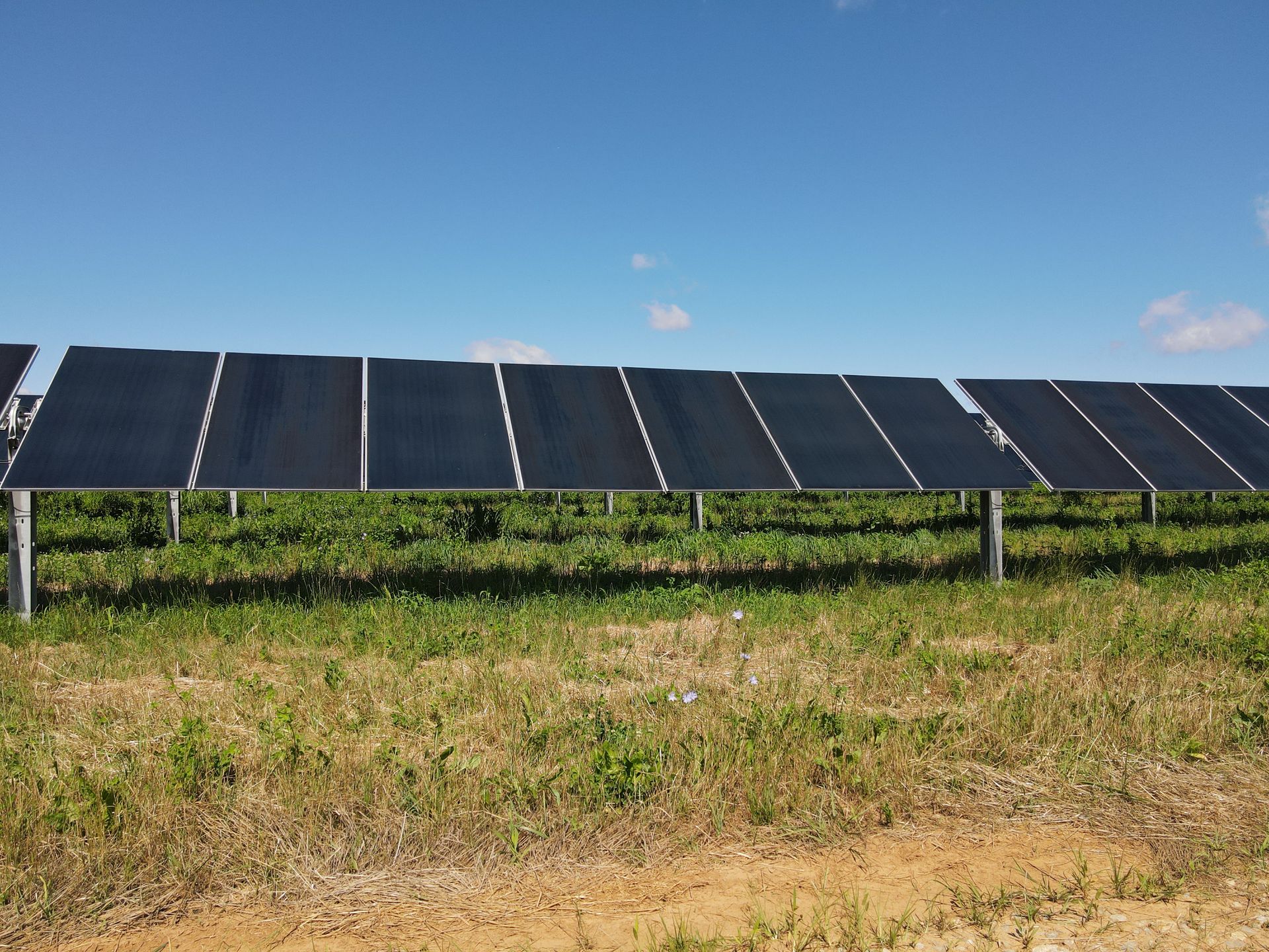 Solar panels in a grassy field under a clear blue sky