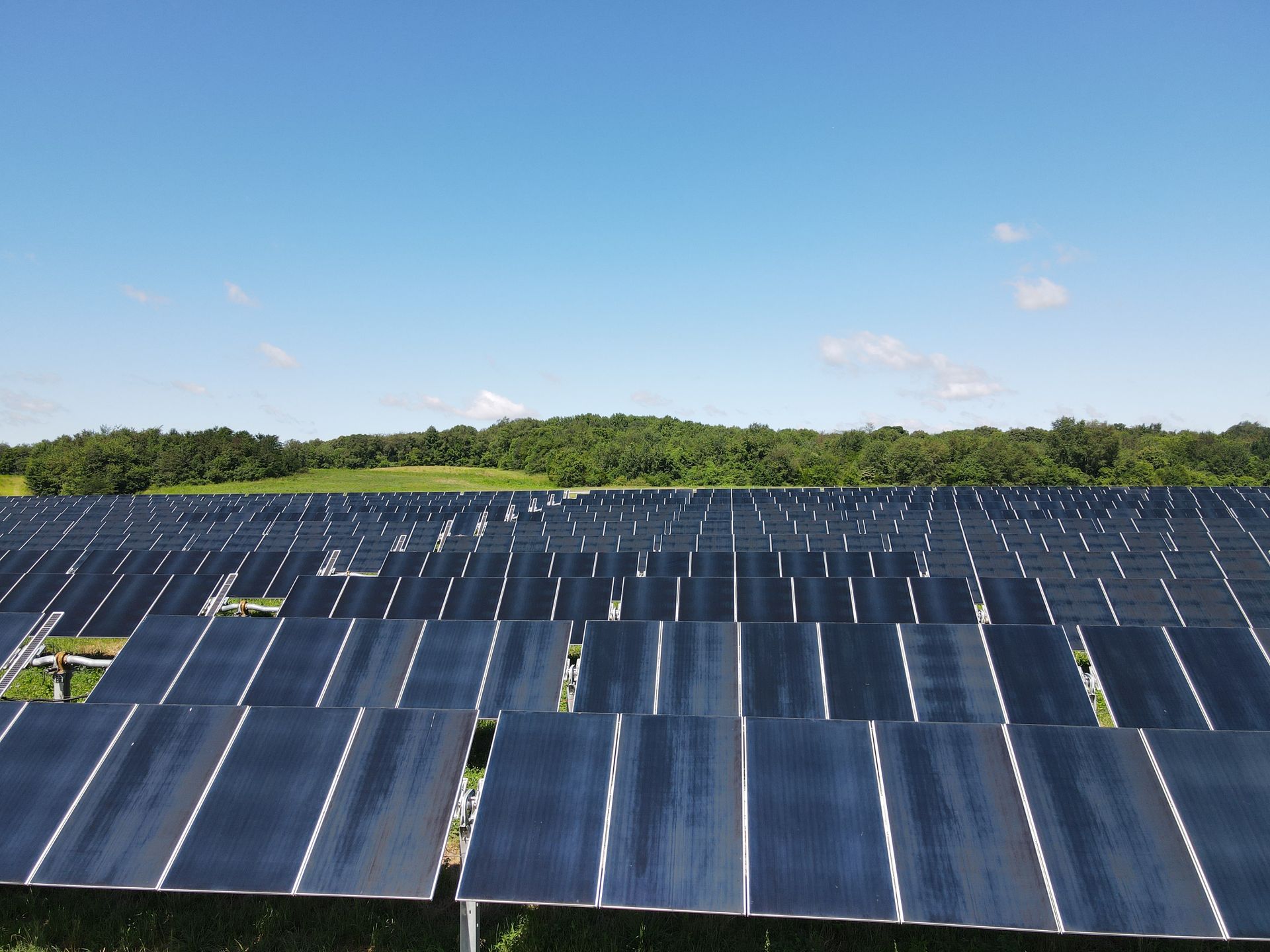 Solar panels covering a field under a blue sky with trees in the background