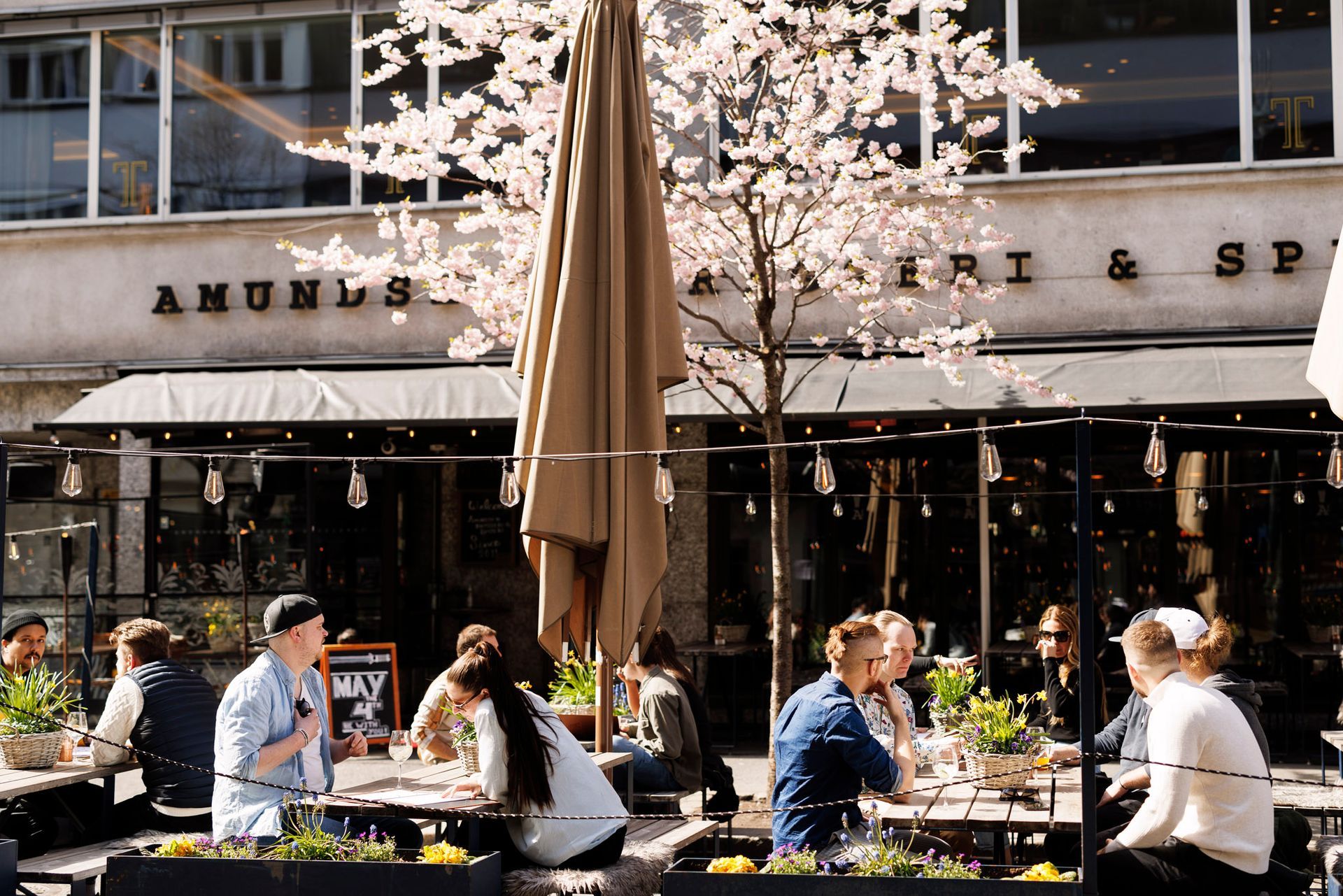 Folk sitter ved bord på en utendørs kafé under et blomstrende tre. Solskinnsdag.