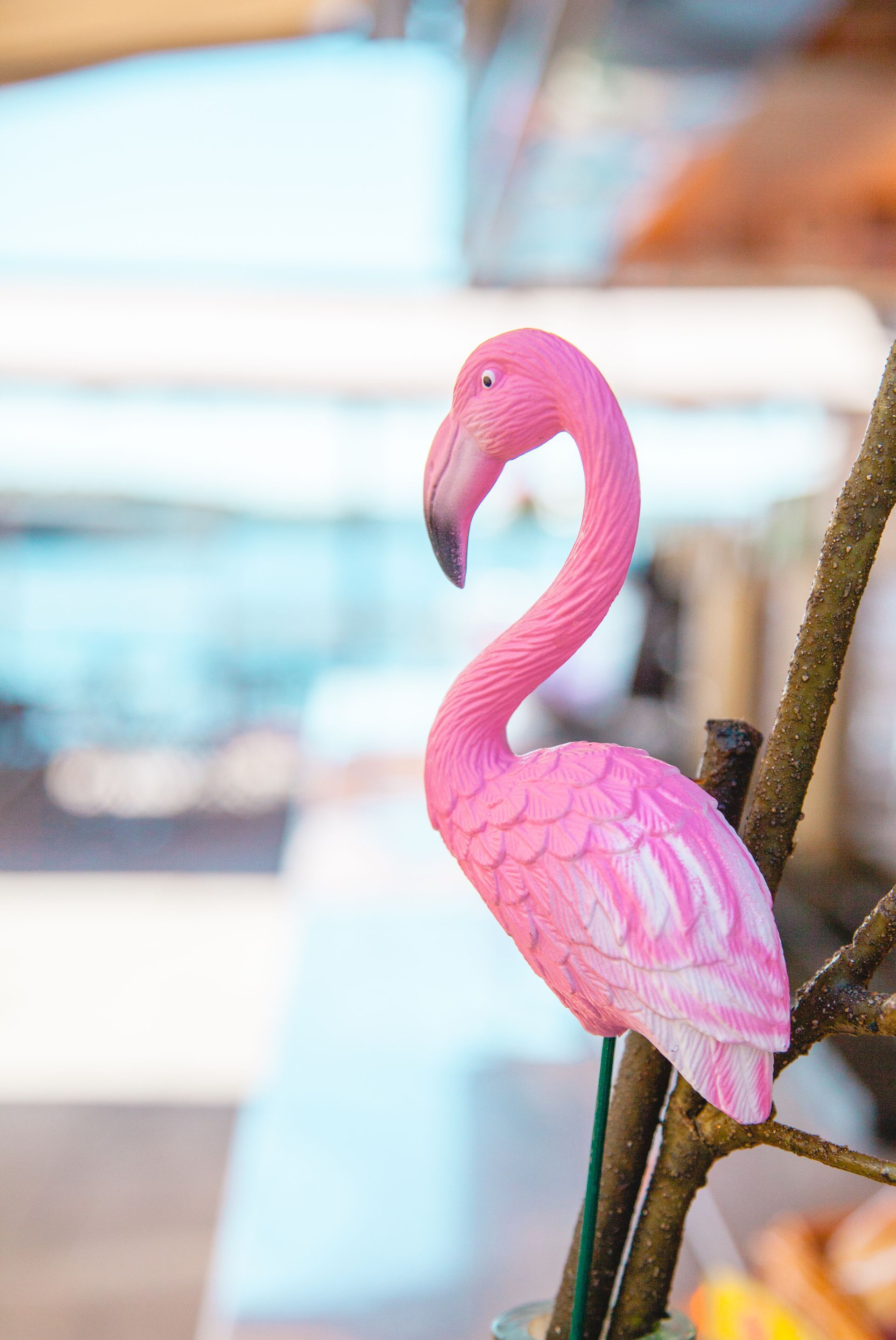 En rosa flamingo sitter på en tregren.