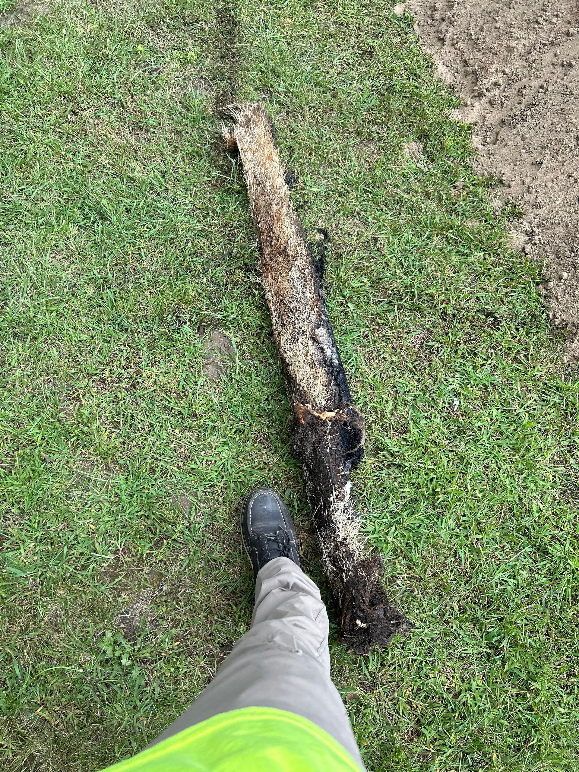 A person is standing next to a large piece of wood in the grass.