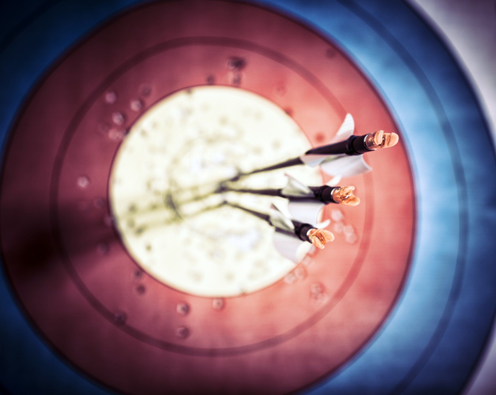 Targets - Panama City, FL - Easy Ride Archery