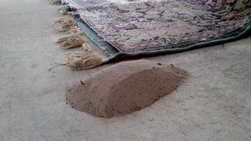 A pile of sand is on the floor next to a rug.