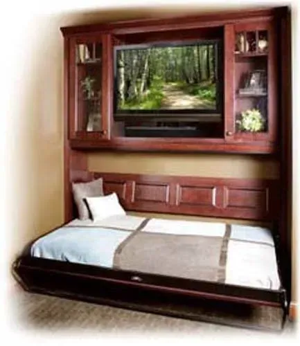 Wall bed with wood cabinets and a forest scene TV above it