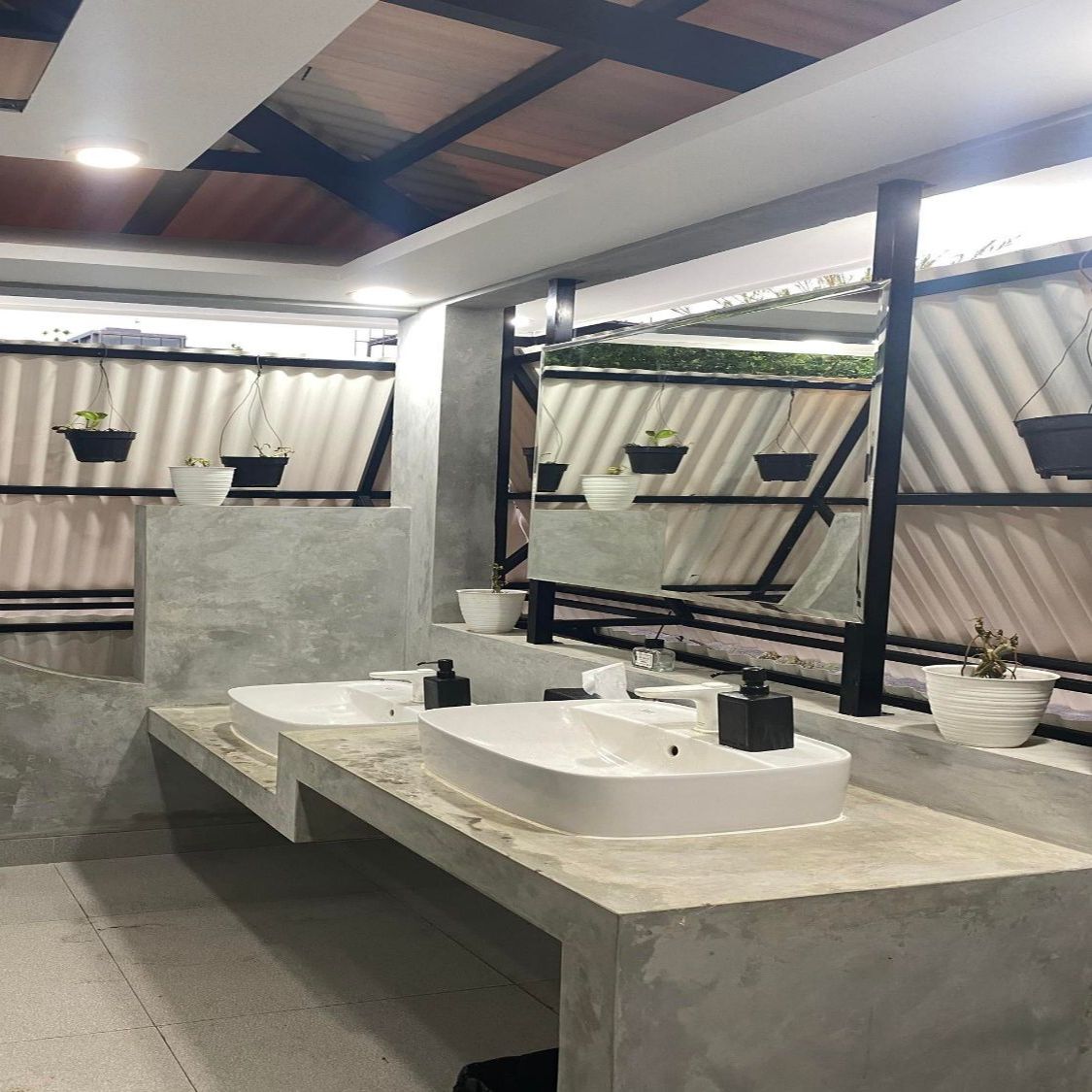 Modern public restroom with concrete sinks, mirrors, and potted plants.