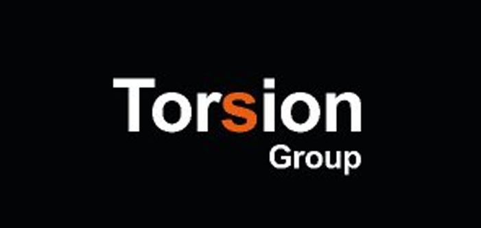 Logo of Torsion Group with "Torsion" in white and "sion" in orange, "Group" in white.