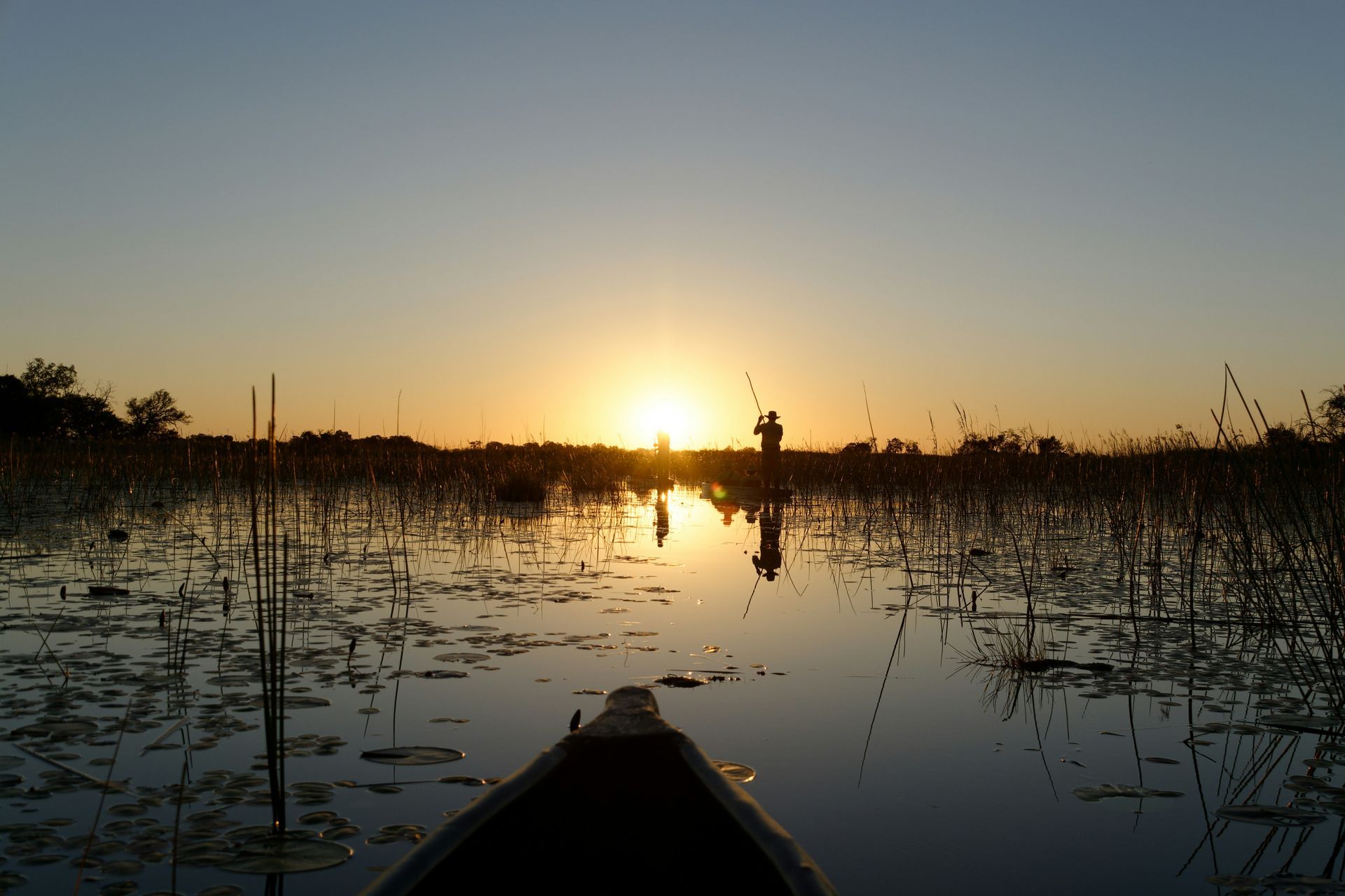 A silhouette of a person fishing from a boat on calm water during a golden sunset, surrounded by marshy reeds.