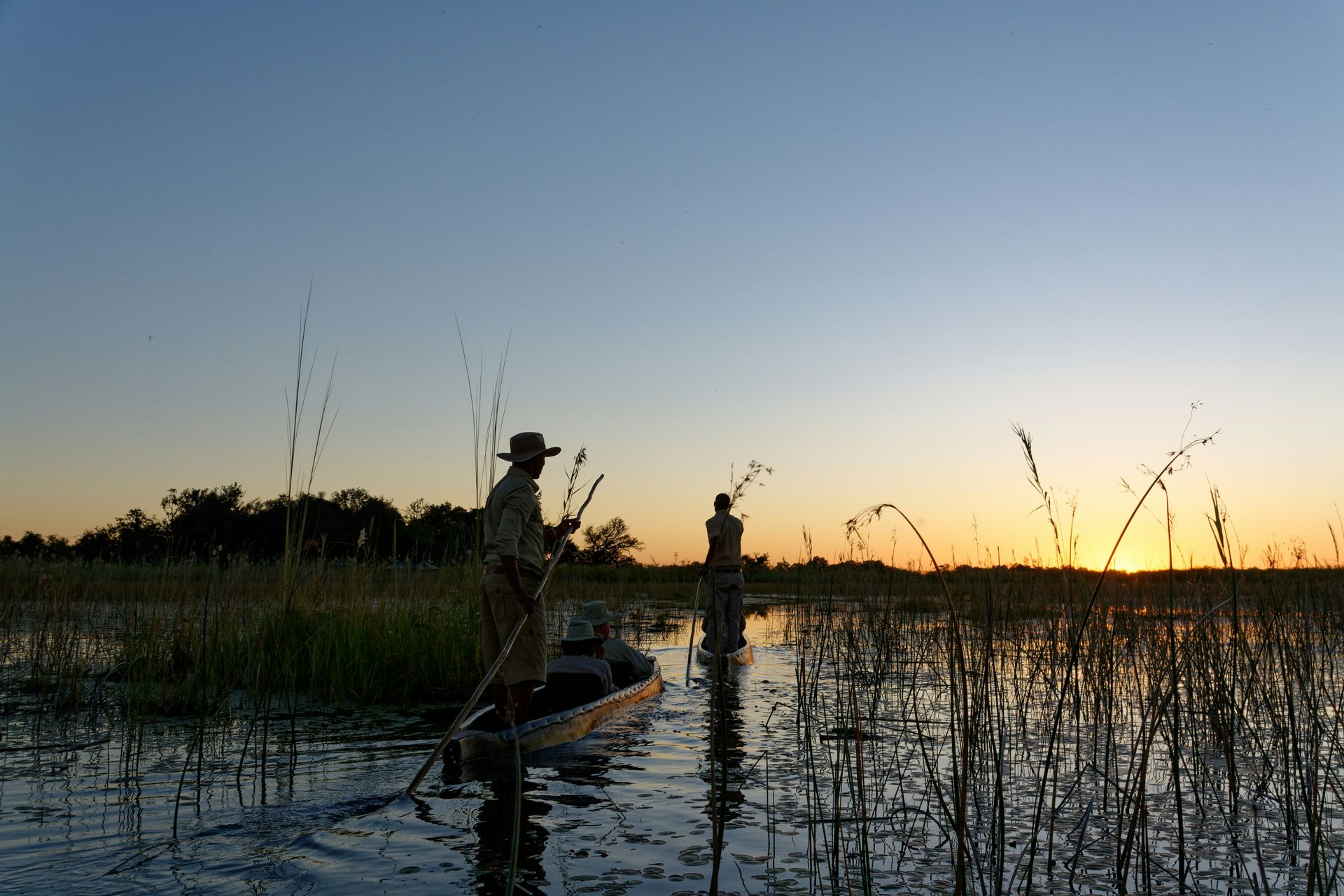 Two people in a canoe pole through a calm marshland during a golden sunrise.