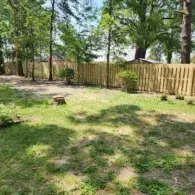 wooden fence