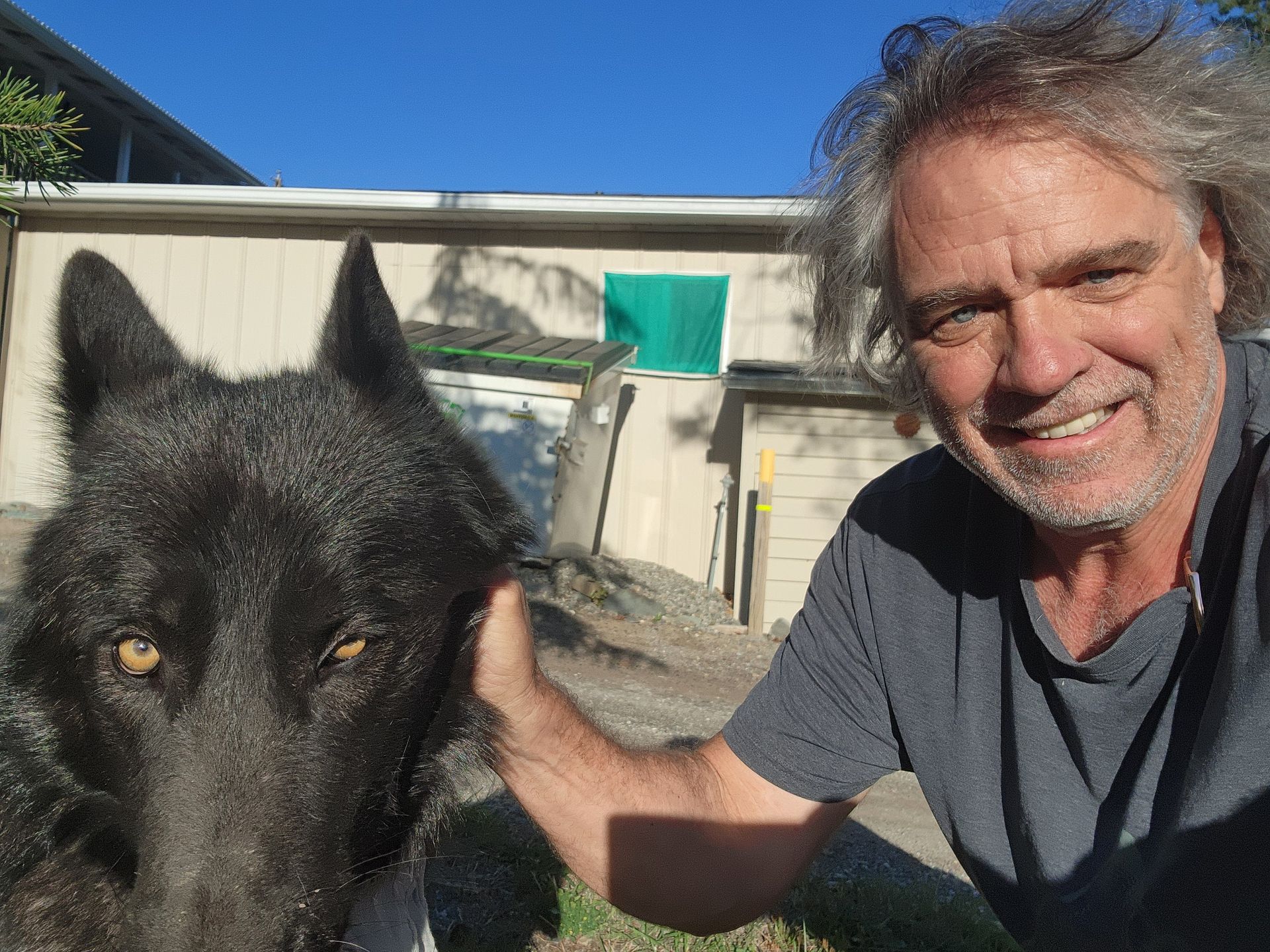 Starland Studios: Wolfdog Ben with Matt Paproski.