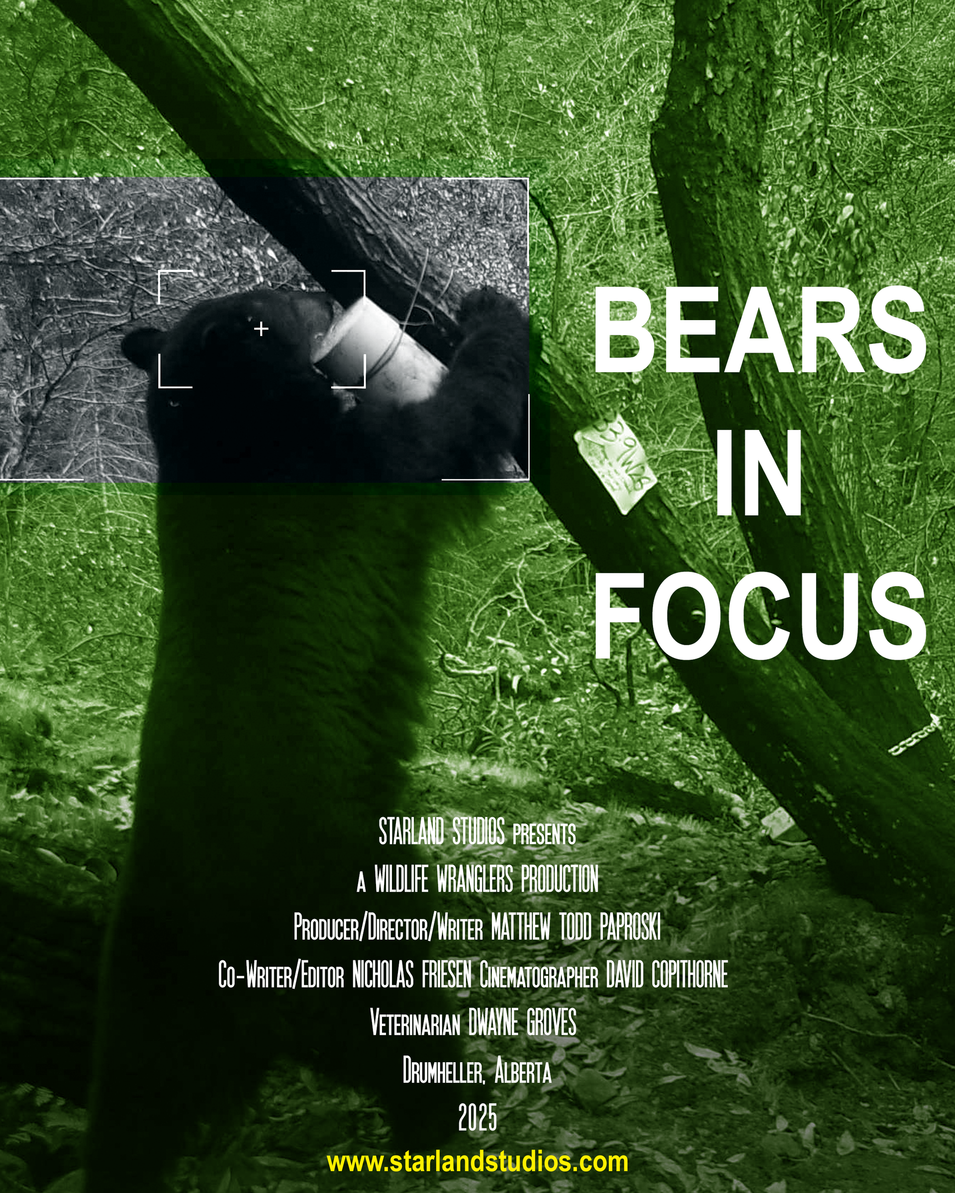 Bears in focus poster
