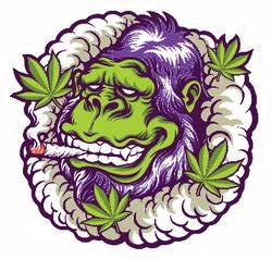 Gorilla Punch