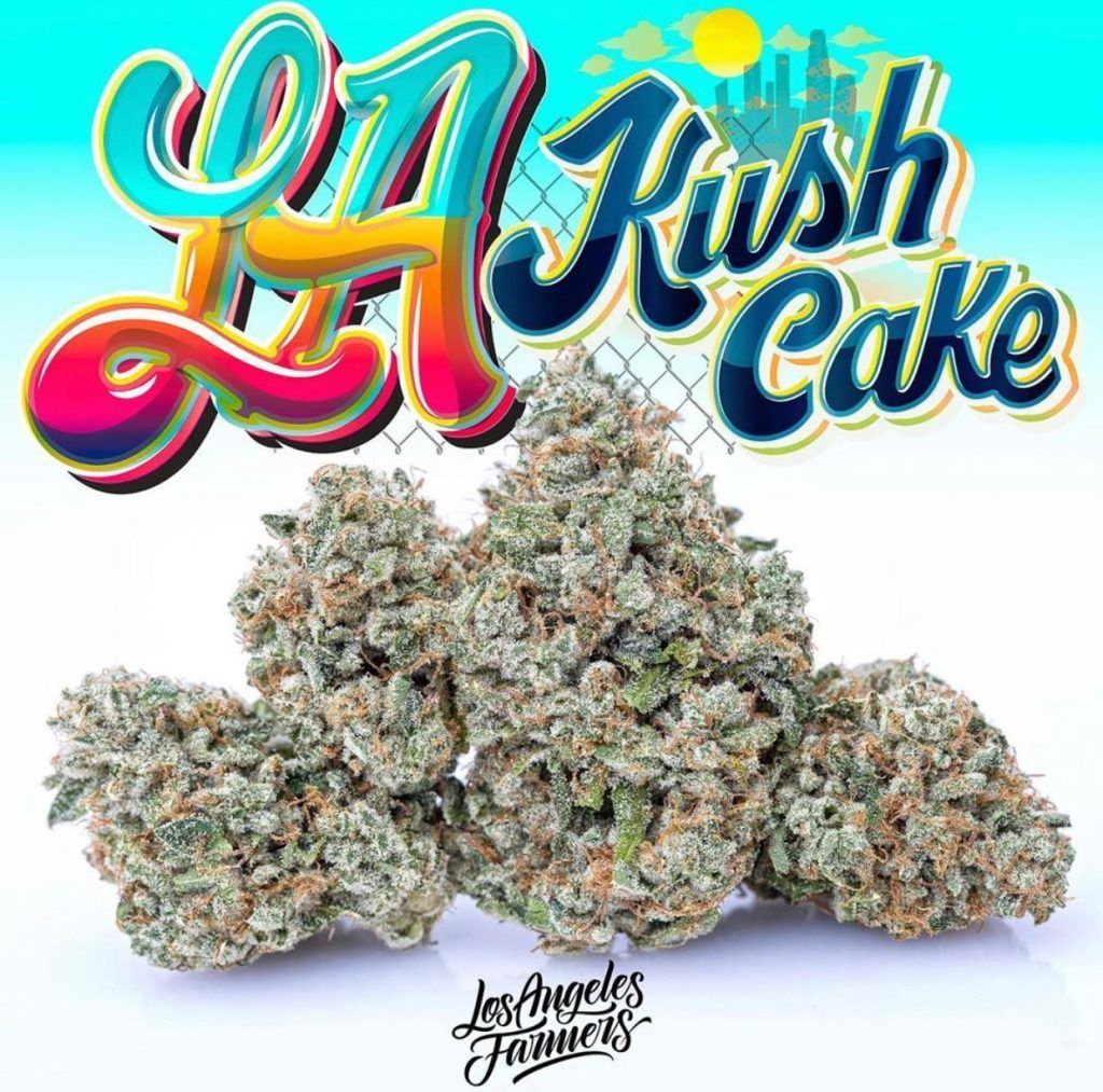 JUNGLE BOYZ WEED