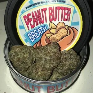 TOP SHELF EXOTIC Cannabis Strain