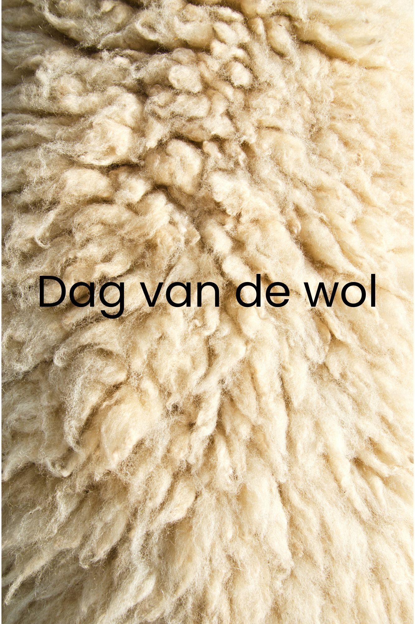 Dag van de wol - Extra Wolcafé (zaterdag 3 oktober 2026)