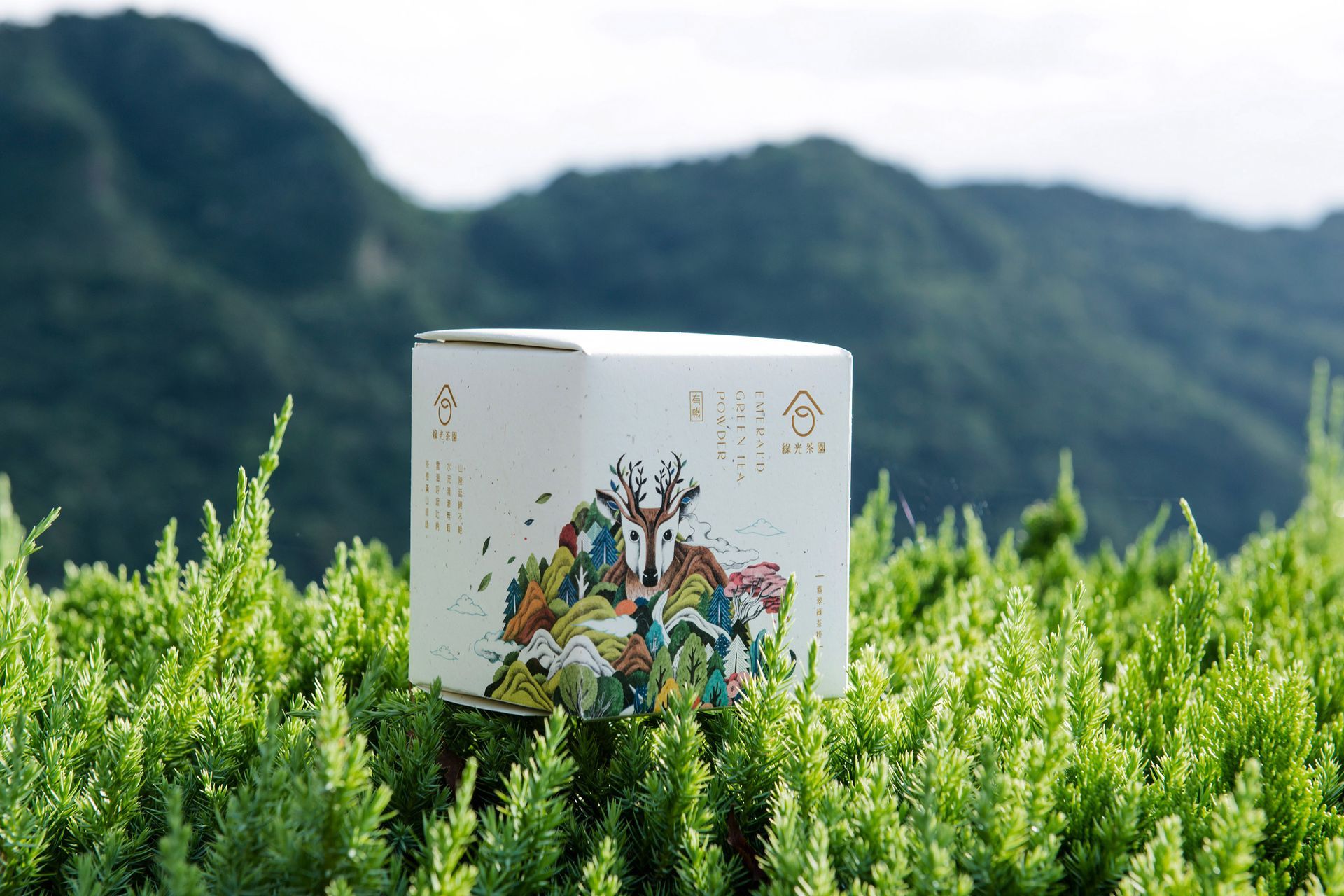 綠光茶園位於坪林北勢溪源頭翡翠水庫上游，創辦人採用有機植栽同時保護環境及原生種，為了呼應此精神，該款包裝的紙張，使用喝完不要的茶渣製成環保再生的茶渣紙，並結合坪林四個原生種動物，用插畫手法融入在地環境與環保油墨加工印製，呈現自然共生天地同好的意境。