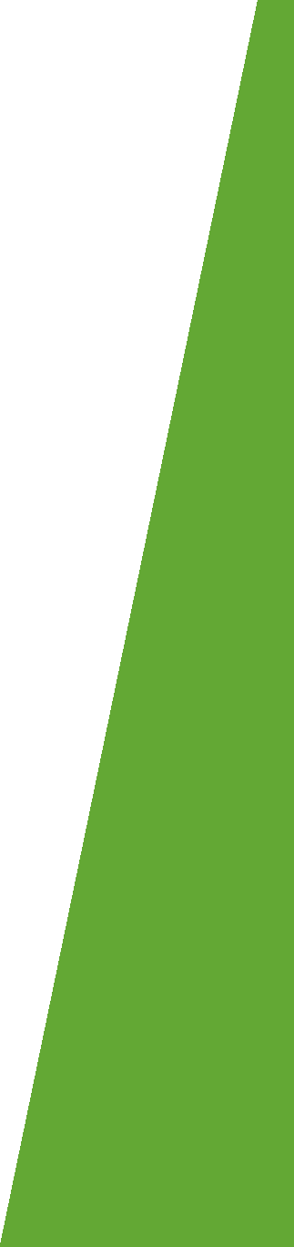 Un triangolo verde e bianco su sfondo bianco.
