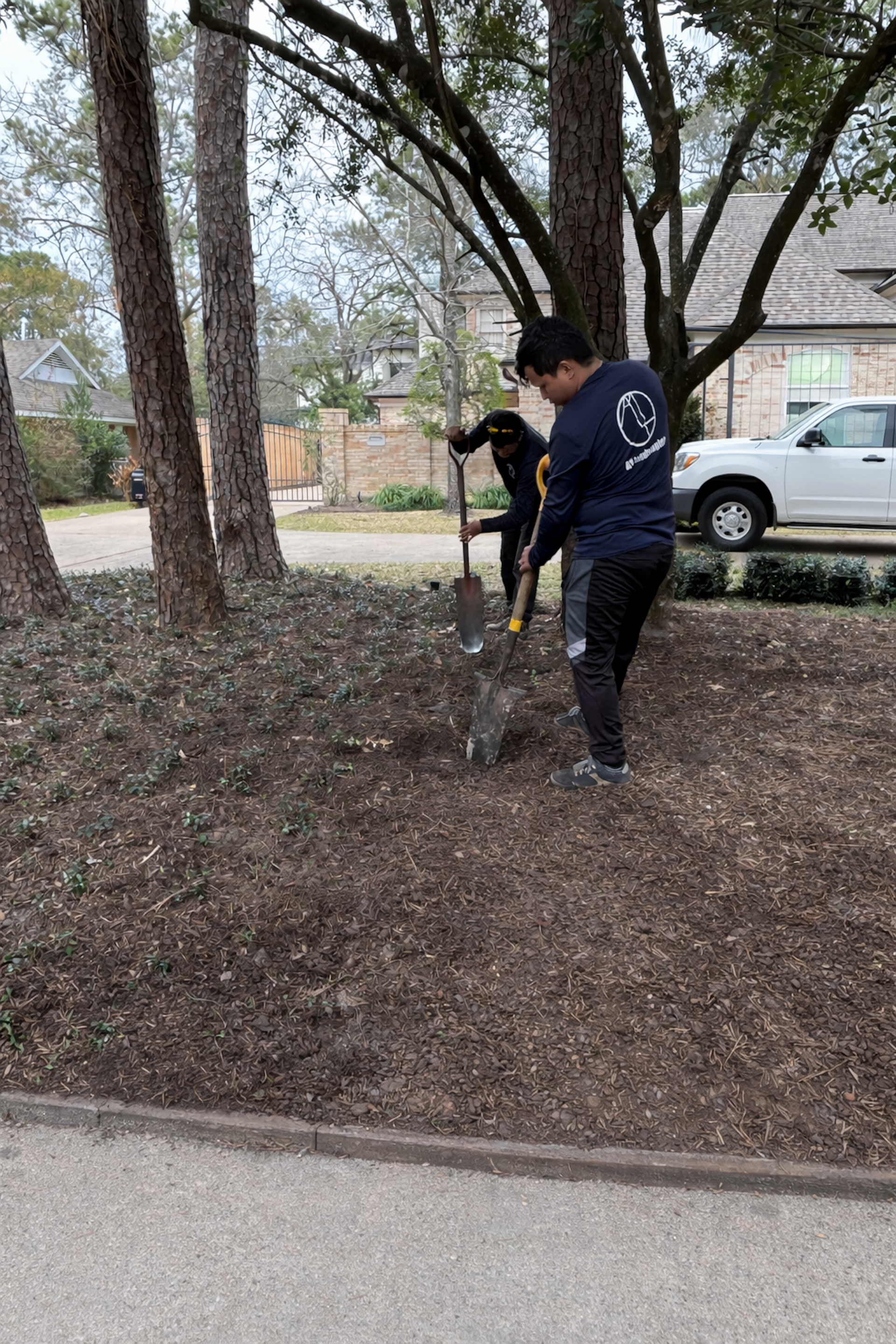 Two people digging in mulch next to trees in front of a residential building.