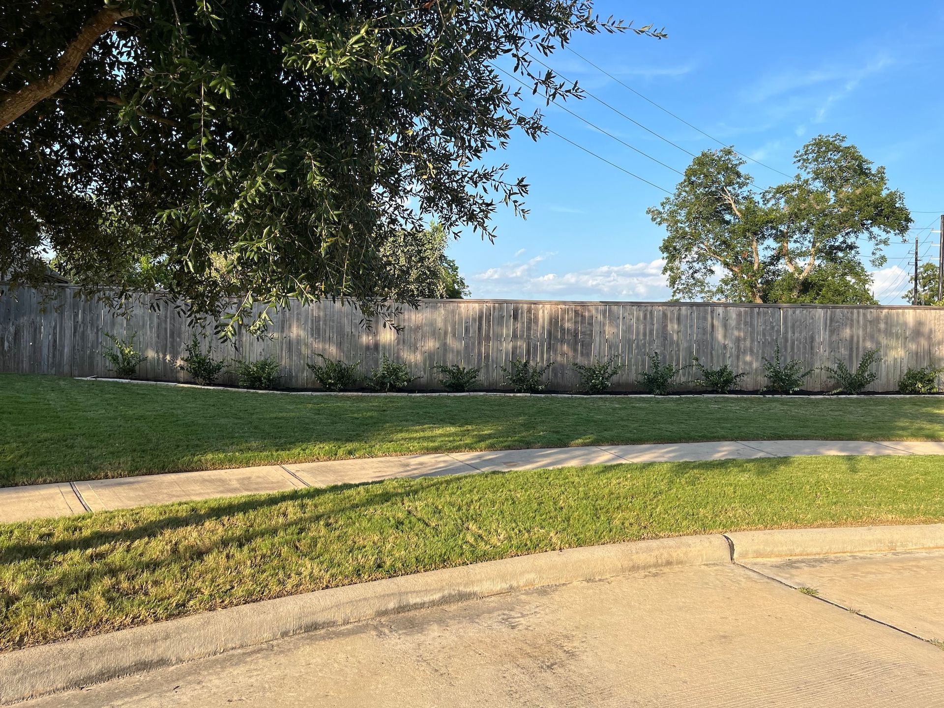 Grassy lawn with a wooden fence and trees under a blue sky.