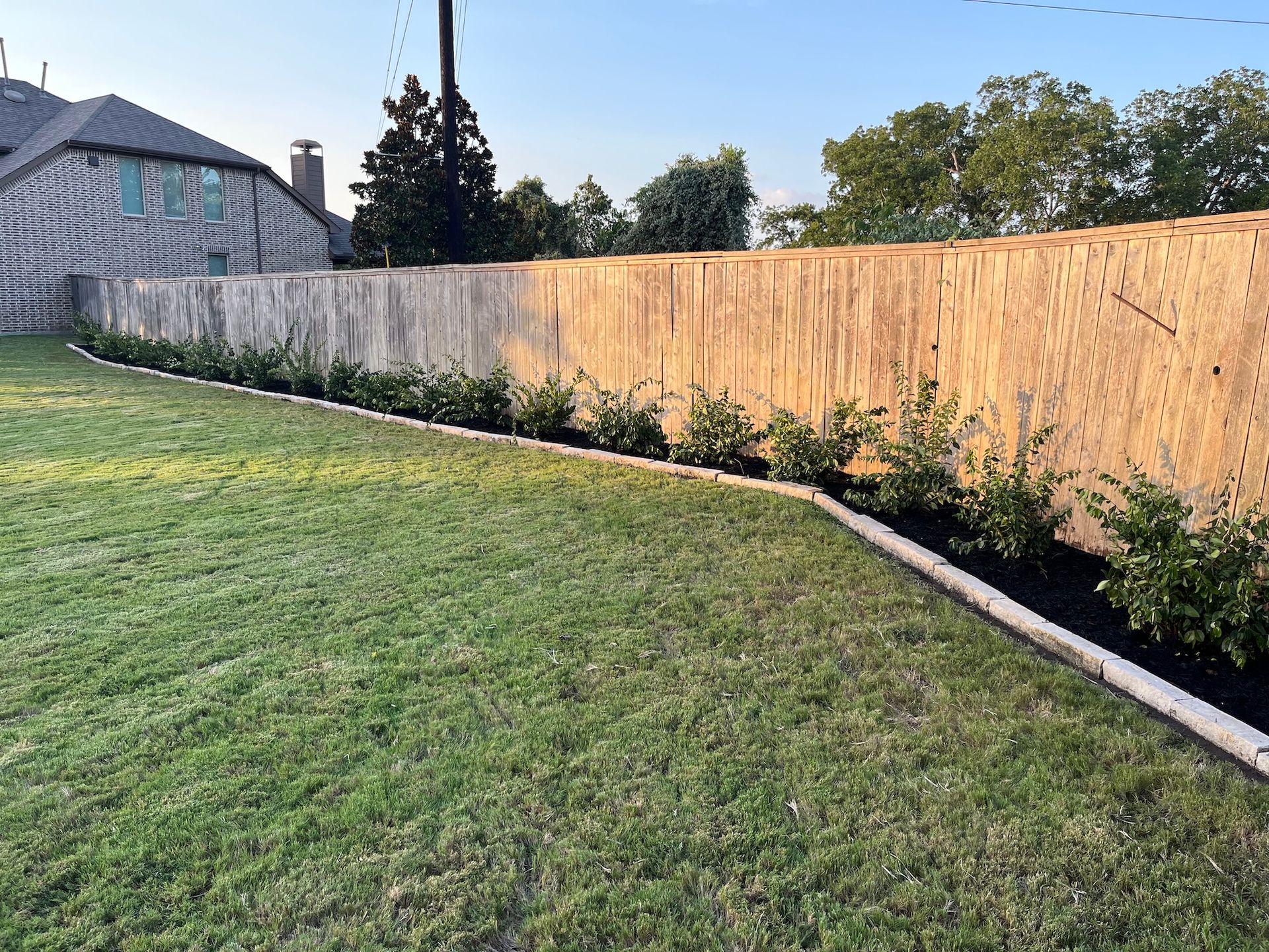 Green lawn with a wooden fence lined with bushes and a concrete border.