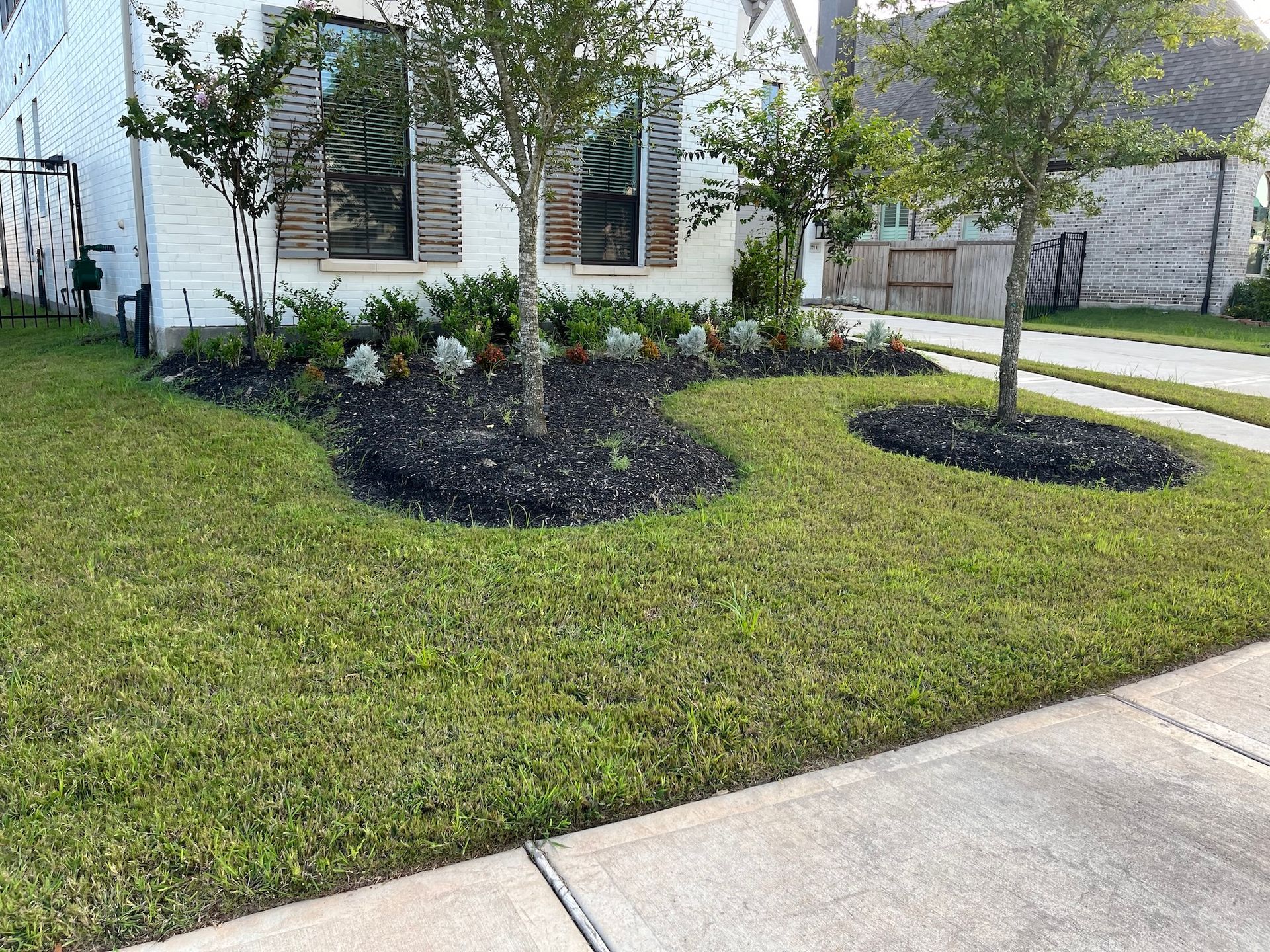 Well-manicured lawn with two tree islands and a flower bed in front of a white house.