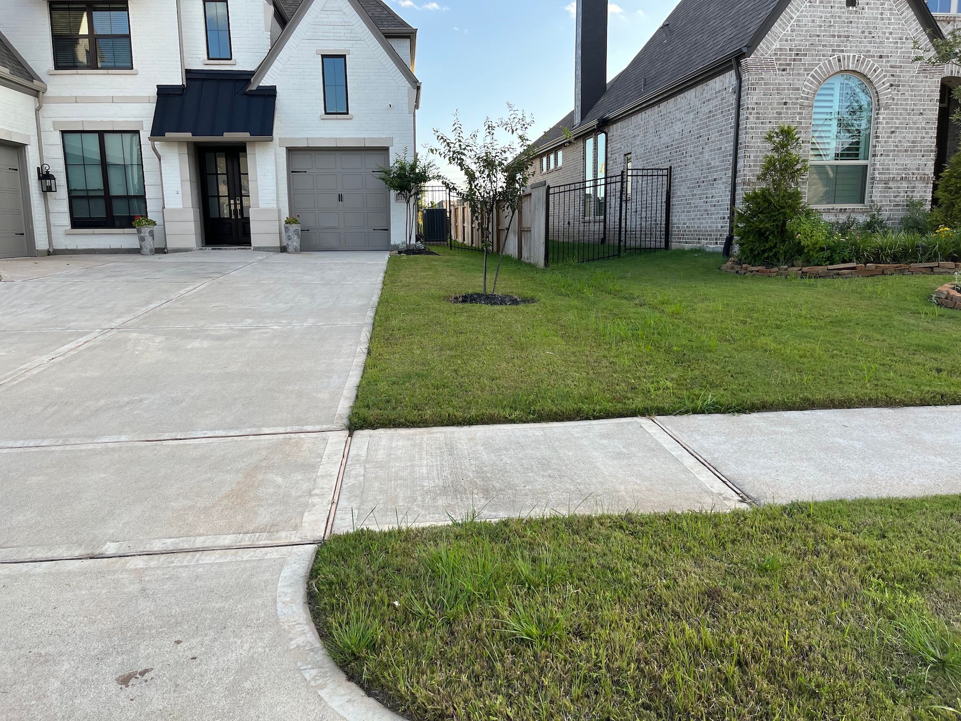 A view of manicured lawns and sidewalks in front of two modern houses.