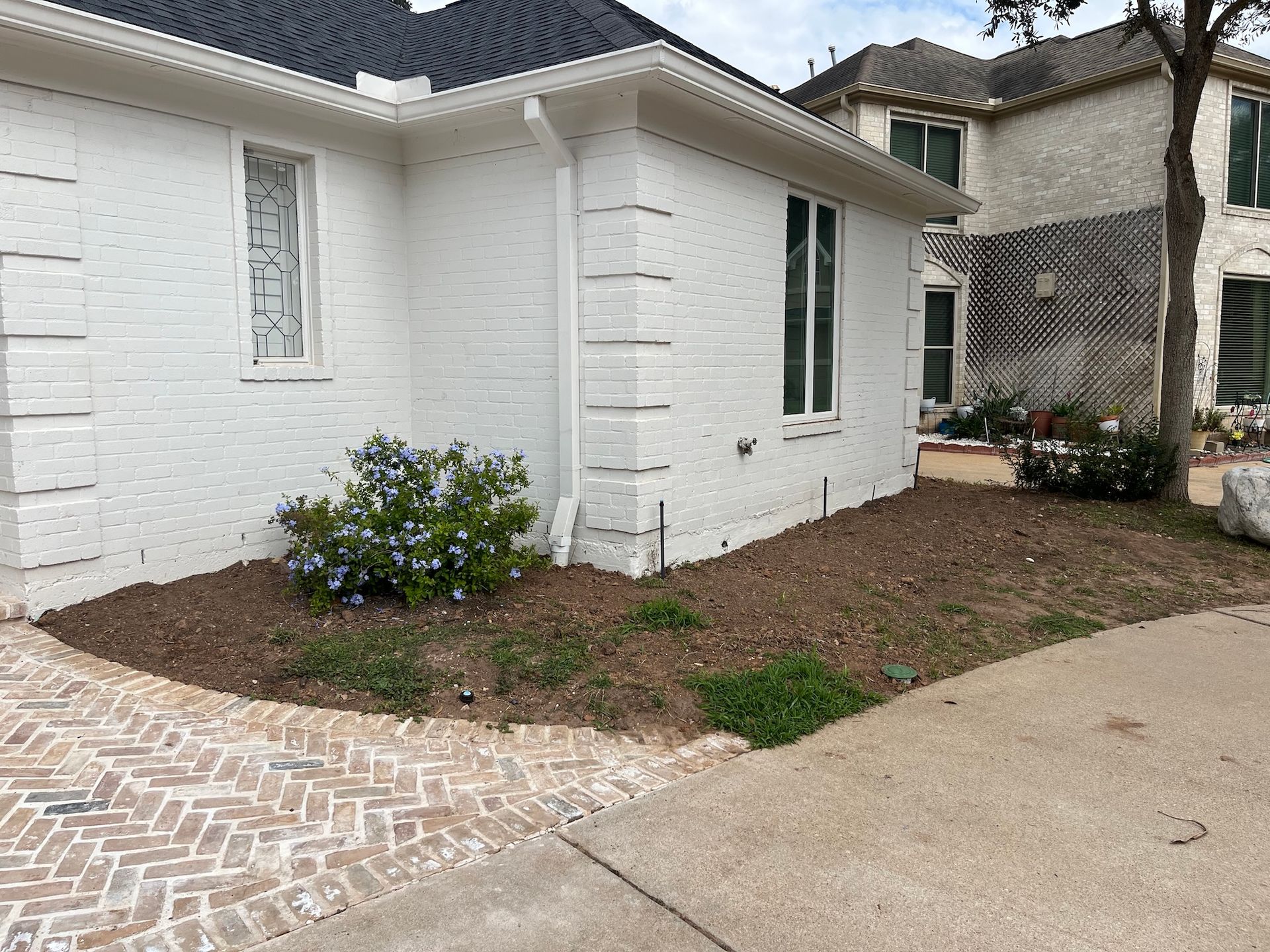 White painted brick house with a small blue flowering bush in front.