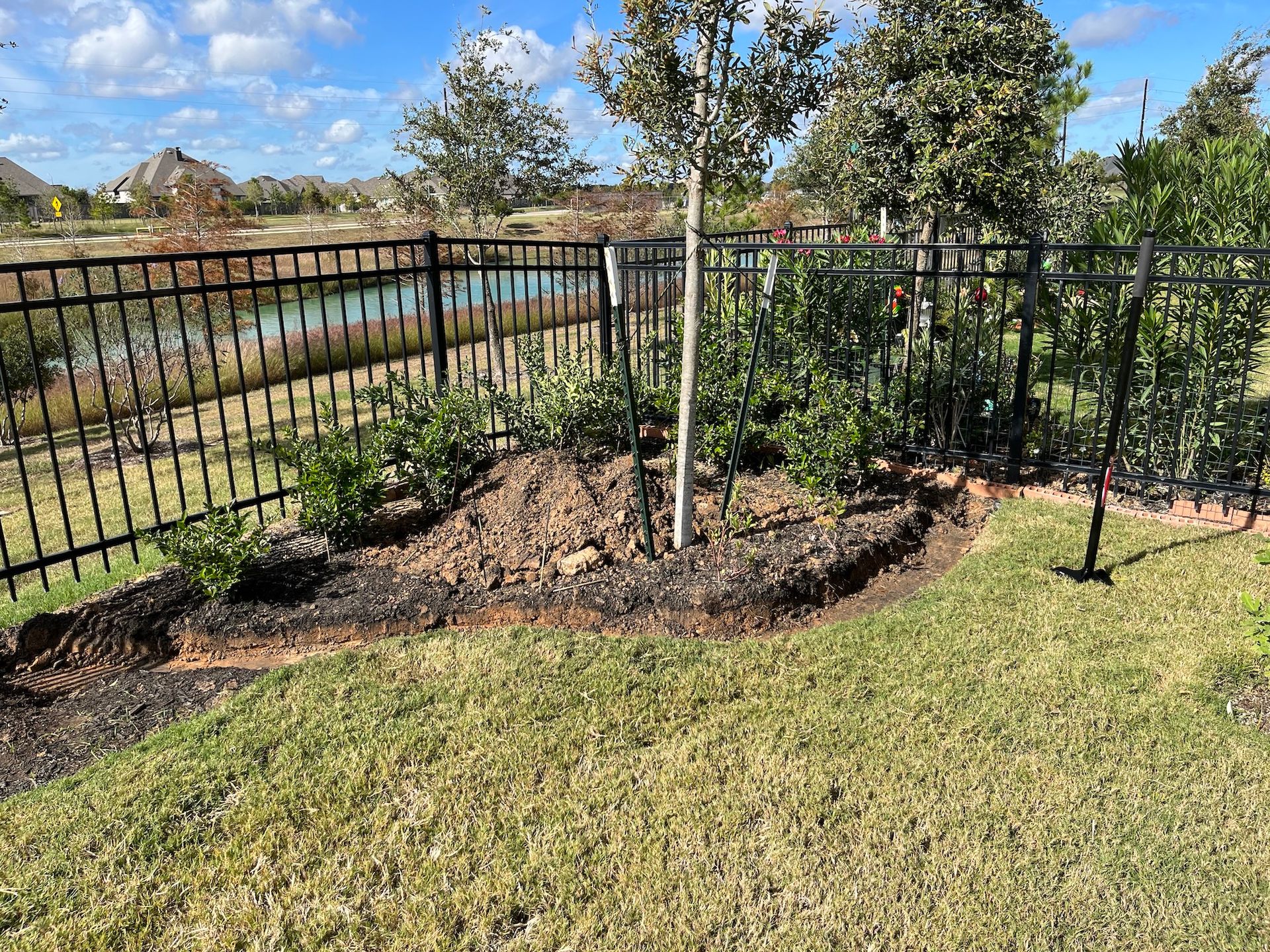 A landscaped yard with a black fence overlooking a pond. Brown soil surrounds a tree and bushes. Green grass.