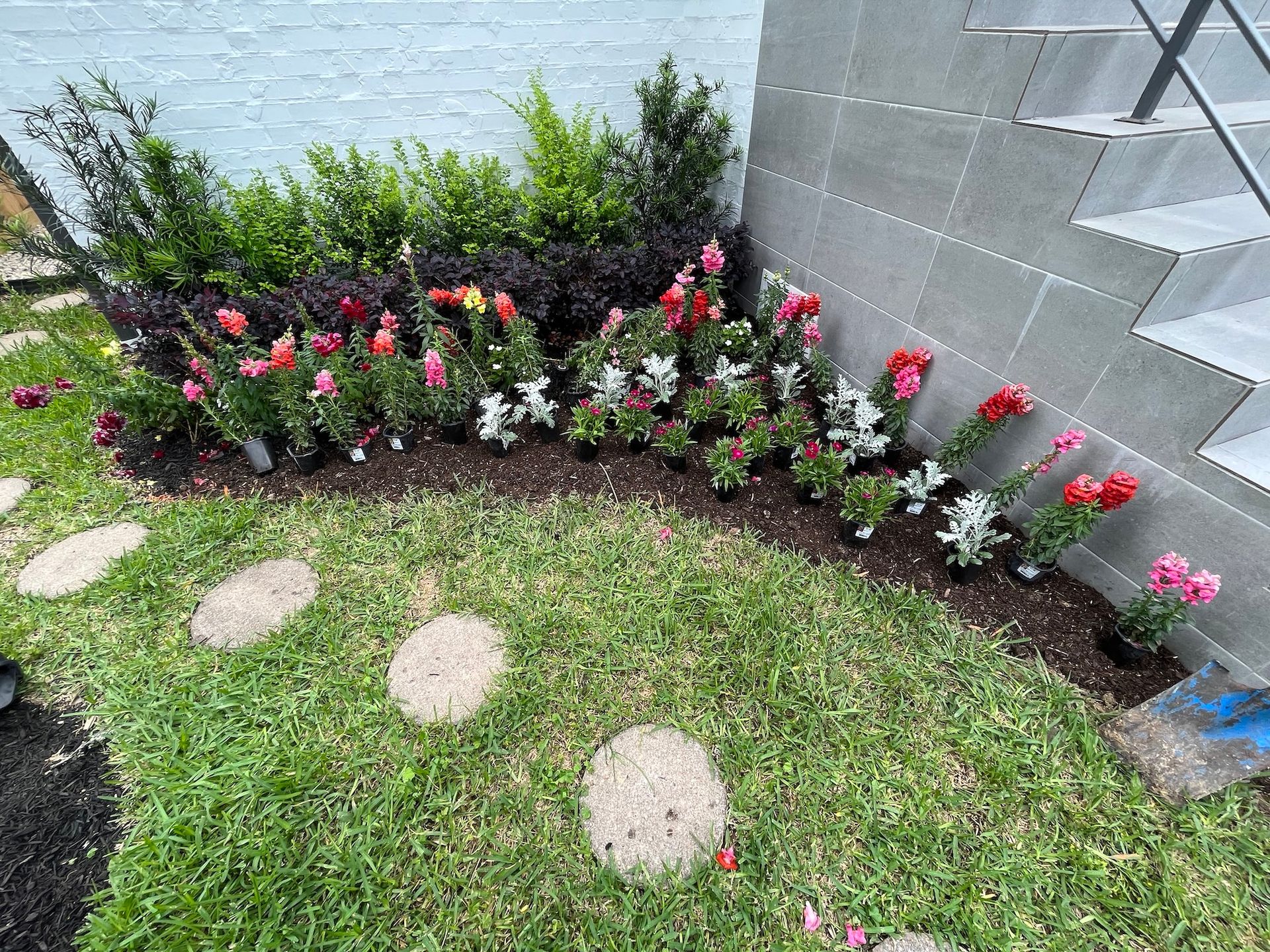 A garden bed with colorful flowers and green shrubs, lined with circular stone stepping stones on a grassy lawn.