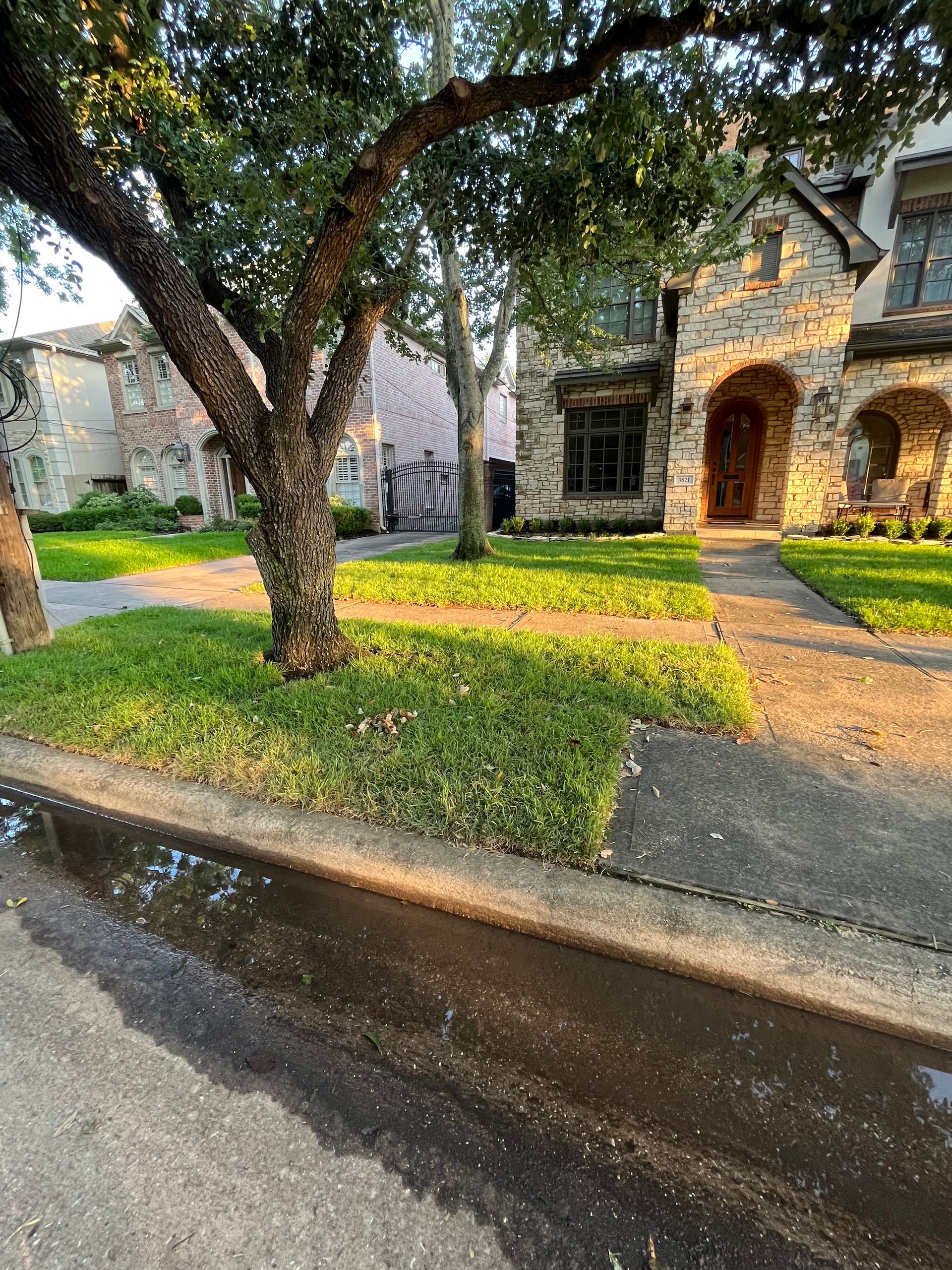 Stone house exterior with a tree in front. Sidewalk and street visible. Green grass, sunny.